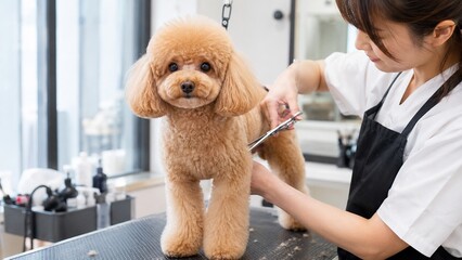 合同会社 ハッピーリバー